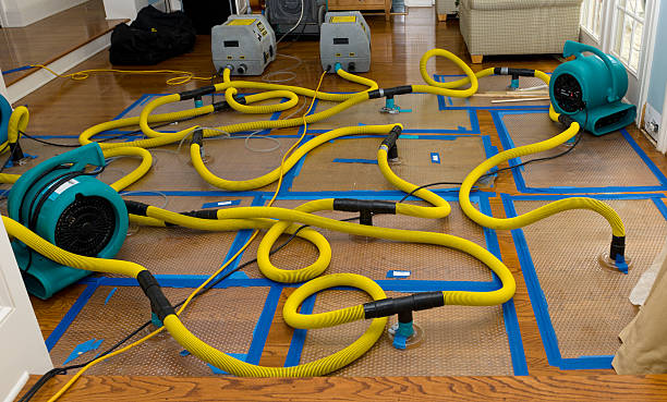 Professional Structural Drying And Dehumidification technician working in West Hollywood, CA